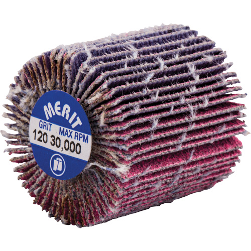 Mini-meule &agrave; lamelles filet&eacute;es, C&eacute;ramique d'alumine, Grain 120, 1" x 1" x 1/4"-20 Les Fournitures Industrielles Méga