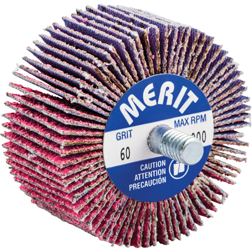 Threaded Mini Flap Wheel, Ceramic Alumina, 60 Grit, 2" x 1" x 1/4"-20 Les Fournitures Industrielles Méga