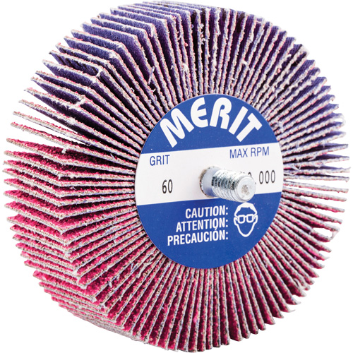 Threaded Mini Flap Wheel, Ceramic Alumina, 60 Grit, 3" x 1" x 1/4"-20 Les Fournitures Industrielles Méga
