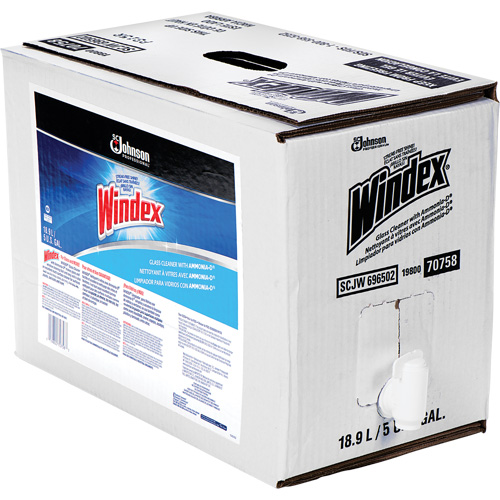 Windex&reg; Glass Cleaner with Ammonia-D&reg;, 5 gal., Bag Les Fournitures Industrielles Méga
