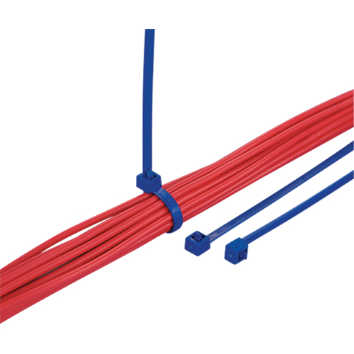 Attaches d&eacute;tectables pour c&acirc;bles, 5-9/10" lo, R&eacute;sistance &agrave; la traction 30 lb Les Fournitures Industrielles Méga