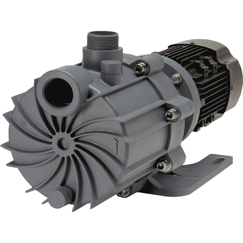 Self-Priming Magnetic Drive Pump with Carbon Bushing Les Fournitures Industrielles Méga