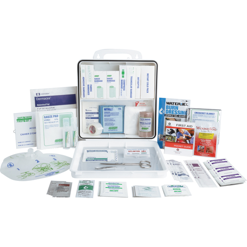Specialty First Aid Kit, Federal Les Fournitures Industrielles Méga