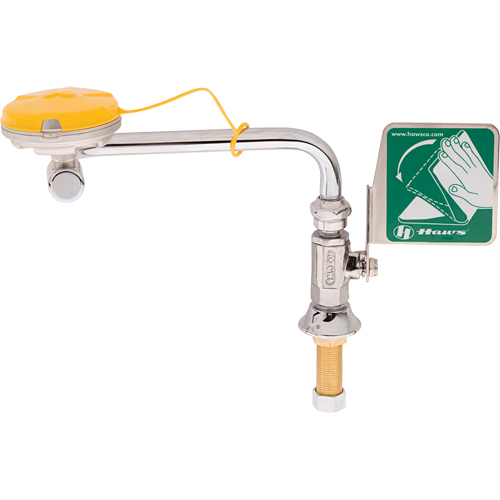 Axion&reg; Eye/Face Wash Station, Sink Mount Installation Les Fournitures Industrielles Méga