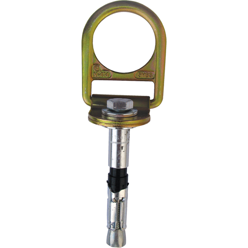 PRO Concrete D-ring Anchor with Bolt, Concrete/D-Ring, Permanent Use Les Fournitures Industrielles Méga