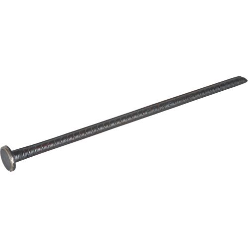 Rebar Spike Les Fournitures Industrielles Méga