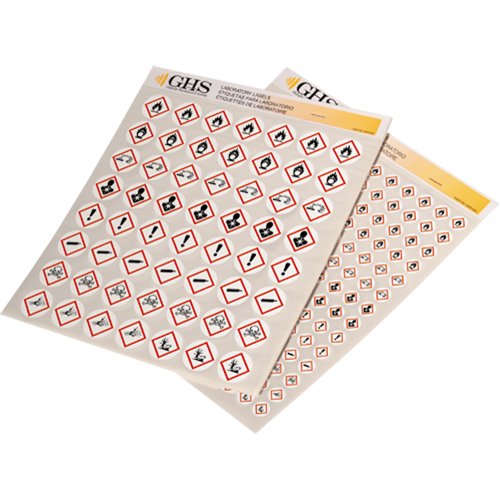 GHS Hazard Pictogram Label Variety Packs, Vinyl, Sheet, 1" L x 1" W Les Fournitures Industrielles Méga