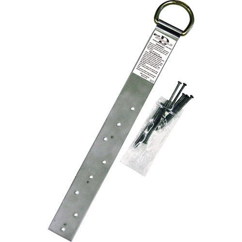 Miller&reg; Single Roof Anchor, D-Ring, Permanent Use Les Fournitures Industrielles Méga