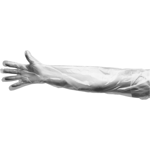 Gants jetables, Grand, Poly&eacute;thyl&egrave;ne, 9 mils, Poudr&eacute;s, Transparent Les Fournitures Industrielles Méga