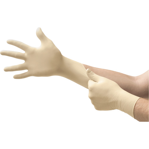 Gants d'examen MICROFLEX Ultra One, 10/9,5/T-Grand, Latex, 9,8 mils, Sans poudre, Naturel, Classe 2 Les Fournitures Industrielles Méga