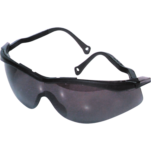 Lunettes de s&eacute;curit&eacute; North The Edge, Lentille Fum&eacute;e, Antibu&eacute;e/Anti-&eacute;gratignures, R&eacute;pond ou surpasse la norme CSA Z94.3 Les Fournitures Industrielles Méga