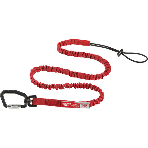 Longe verrouillable pour outils &agrave; port&eacute;e &eacute;tendue, Tendeur, Mousqueton/boucle Les Fournitures Industrielles Méga