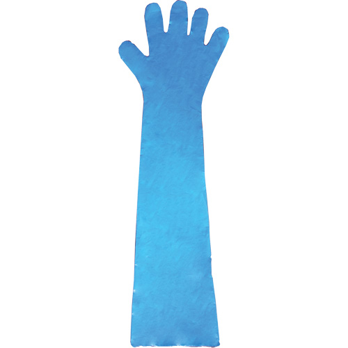 Disposable Gloves, Polyethylene, Powder-Free, Blue Les Fournitures Industrielles Méga
