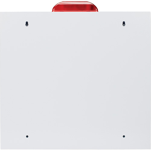 Grande armoire standard pour DEA avec alarme & stroboscope, Zoll AED Plus/Zoll AED 3/Cardio-Science/Physio-Control Pour, Non m&eacute;dical Les Fournitures Industrielles Méga