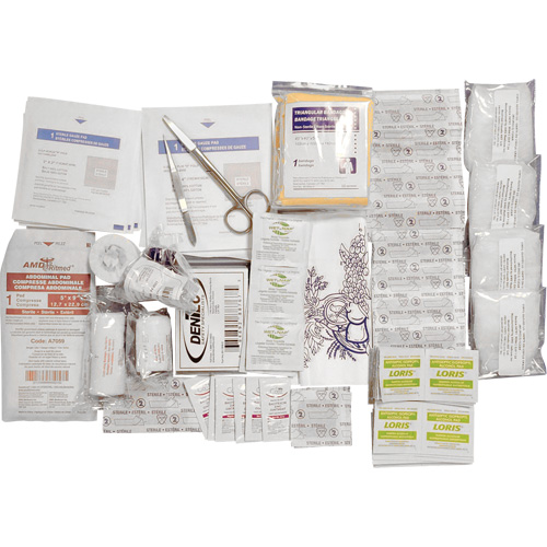 Trousse de premiers soins de base et recharge Shield, R&eacute;pond &agrave; la norme CSA Z1220-17 type 2 environnements &agrave; faible risque, Petit (2-25 travailleurs) Les Fournitures Industrielles Méga