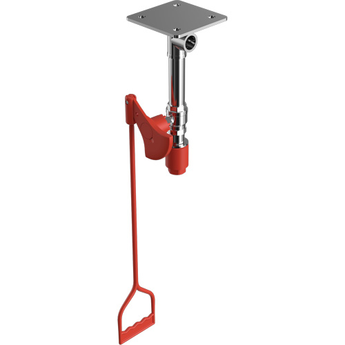 Drench Shower, Ceiling-Mount Les Fournitures Industrielles Méga