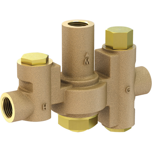 Mid-Capacity Thermostatic Mixing Valve for Individual Eye/Face Wash Stations, 2 - 35.1 GPM Les Fournitures Industrielles Méga