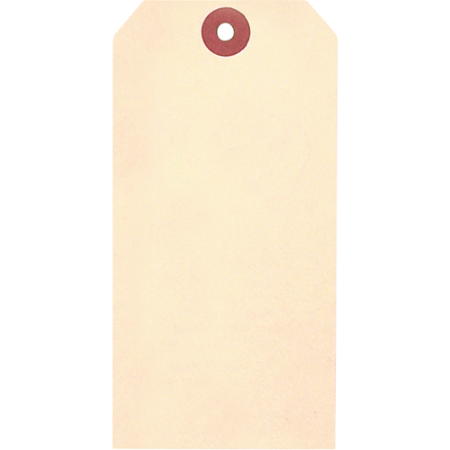 Manila Blank Tags, Cardstock, 1-3/8" W x 2-3/4" H Les Fournitures Industrielles Méga