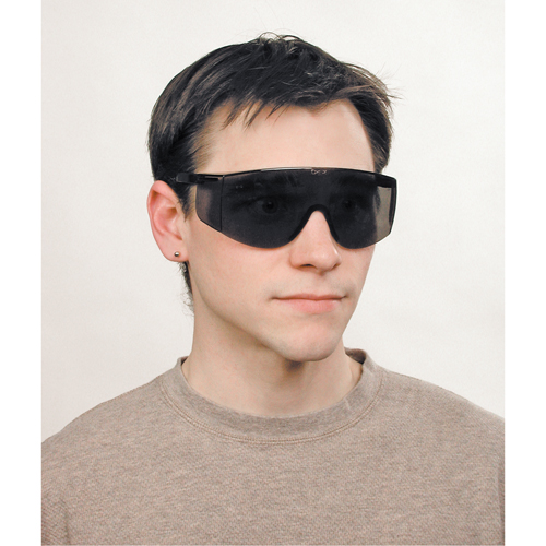 Lunettes de s&eacute;curit&eacute; Tacoma, Lentille Grise/fum&eacute;e, Anti-&eacute;gratignures, ANSI Z87+ Les Fournitures Industrielles Méga