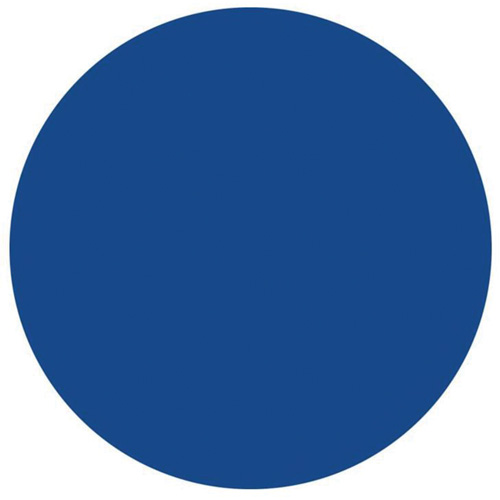 &eacute;tiquettes rondes inscriptibles, Cercle, 1,5" lo x 1,5" la, Bleu Les Fournitures Industrielles Méga