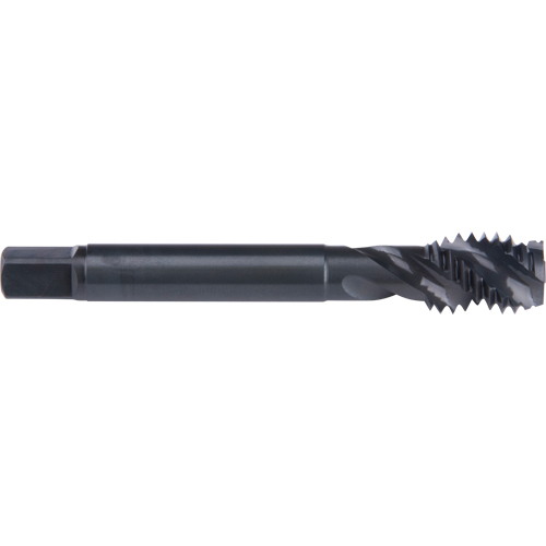 Taraud &agrave; cannelure en spirale 45°, Acier rapide au cobalt, Filet de 3/4"-10, 4-1/4" l Les Fournitures Industrielles Méga