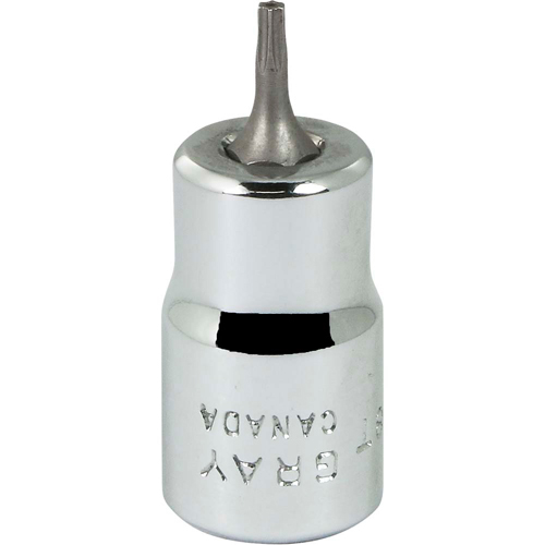 Bit Socket, Torx&reg;, T8 x 2-1/8" L, 3/8" Drive Les Fournitures Industrielles Méga