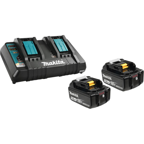 Ensemble de batterie au lithium-ion & chargeur &agrave; double port, 18 V, Lithium-ion Les Fournitures Industrielles Méga