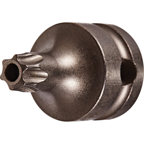 Embout &agrave; ins&eacute;rer, Torx inviolable, 25 x 1" lo, Prise 3/8" Les Fournitures Industrielles Méga
