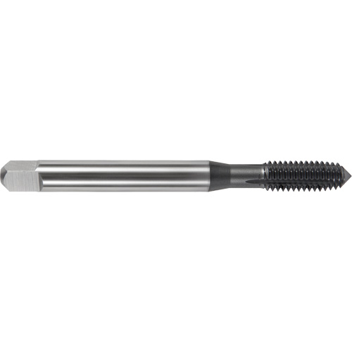 DRILLCO Nitro Max Thread Former, Cobalt, 1/4"-10 Thread Les Fournitures Industrielles Méga