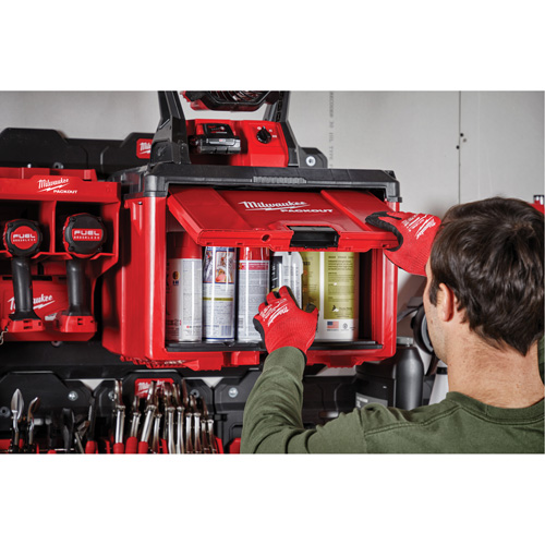 Packout Tool Cabinet, 15" x 15" x 20", Black/Red Les Fournitures Industrielles Méga