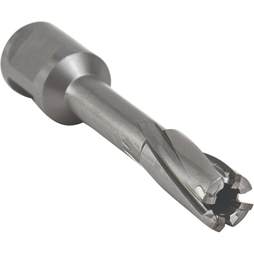 Core Cut Annular Cutter with Weldon Shank, 12 mm Diameter, Carbide, 55 mm Depth of Cut, 3/4" Shank Les Fournitures Industrielles Méga