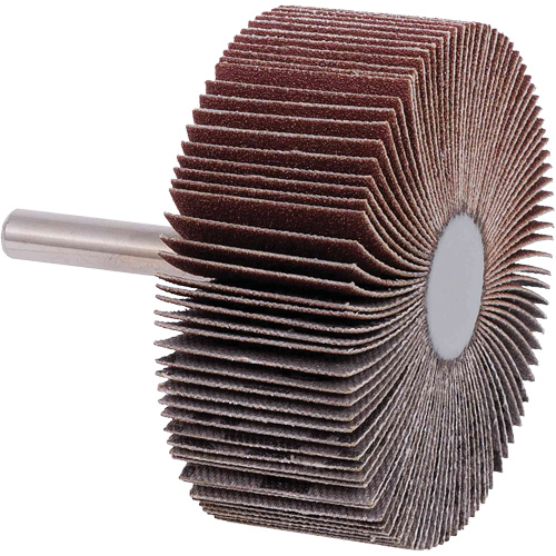 Disques &agrave; lamelles, Grain 40, 2-1/2" x 1" Les Fournitures Industrielles Méga
