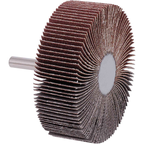 Disques &agrave; lamelles, Grain 40, 3" x 1" Les Fournitures Industrielles Méga