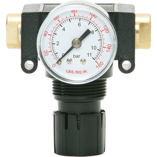 MODULAIR 200 Acetal Piston Regulator, 1/4" NPT, 150 PSI Max. PSI, In Line/Modular Les Fournitures Industrielles Méga