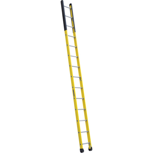 &eacute;chelle &eacute;troite pour trou d'homme, 14', Fibre de verre, 375 lb, CSA calibre 1AA Les Fournitures Industrielles Méga