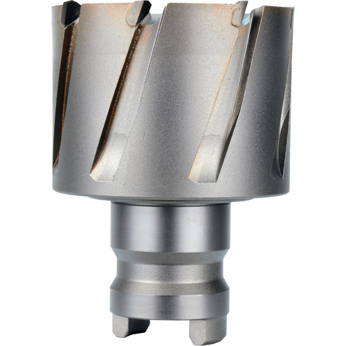 Fraise avec tenon &agrave; changement rapide Drive Hawg, Diam&egrave;tre de 2", Acier, Profondeur de la coupe de 1" Les Fournitures Industrielles Méga