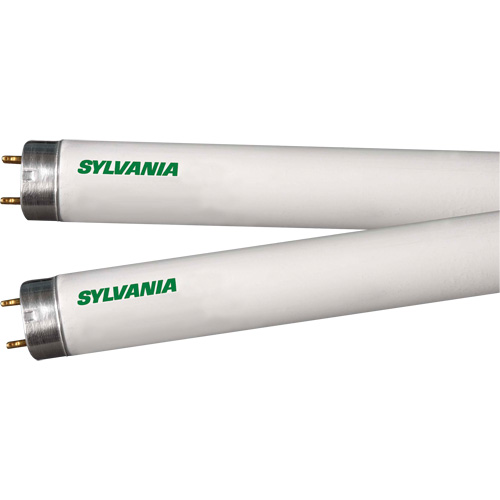 Lampes fluorescentes, 32 W, T8, 4100 K, Longueur de 48" Les Fournitures Industrielles Méga