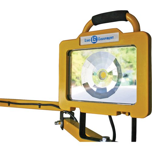 Heavy-Duty Dock Light, 40" Arm, 38 W, LED Lamp, Metal Les Fournitures Industrielles Méga