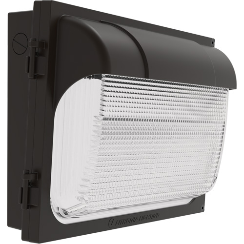 TWX Wall Luminaire, LED, 480 V, 9 W - 54 W, 14" H x 18" W x 5" D Les Fournitures Industrielles Méga