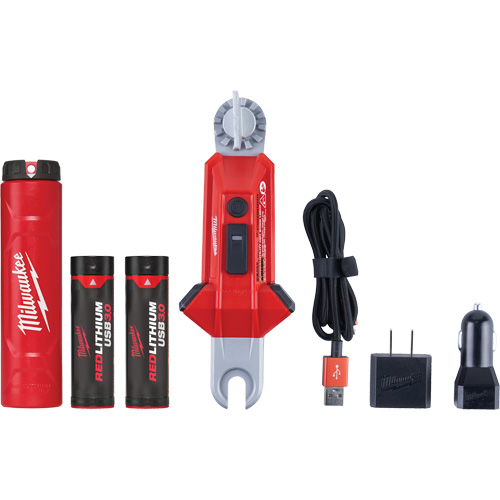Lampe USB polyvalente REDLITHIUM pour perche isolante, DEL, Piles Rechargeable, Aluminium Les Fournitures Industrielles Méga