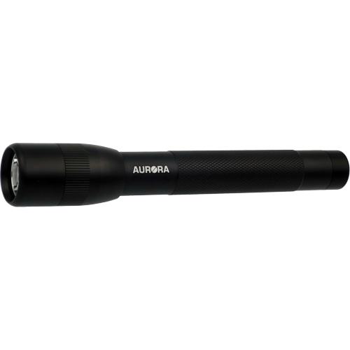 Lampe de poche IPX4, 100 lumens, Piles AA Les Fournitures Industrielles Méga