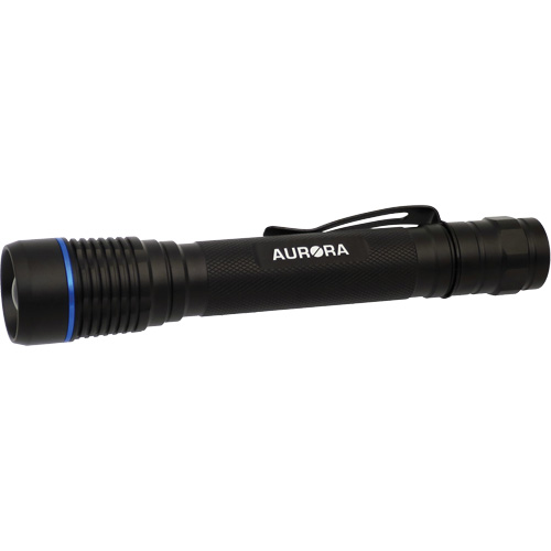 Lampe de poche IPX7, DEL, 250 lumens, Piles AA Les Fournitures Industrielles Méga