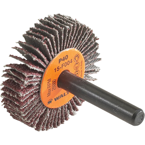 Disque &agrave; lamelles Coolcut, Oxyde d'aluminium, Grain 60, 1-1/2" x 3/8" x 1/4" Les Fournitures Industrielles Méga
