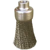 Brosses plates, rondes ou Roto Les Fournitures Industrielles Méga