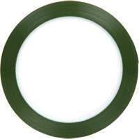 Ruban en polyester, Polyester, 25,4 mm (1") la x 66 m (216') lo, 1,9 mils &eacute;pais Les Fournitures Industrielles Méga