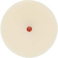 Scotch-Brite Moulding Adhesive & Stripe Removal Disc, 7501, 4" Dia. Les Fournitures Industrielles Méga