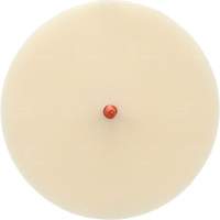 Scotch-Brite Moulding Adhesive and Stripe Removal Disc 7502, 6" Dia. Les Fournitures Industrielles Méga