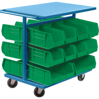 Bin Cart with Bins, Double-sided, 20 bins, 24" W x 38-1/2" D x 36-1/2" H Les Fournitures Industrielles Méga