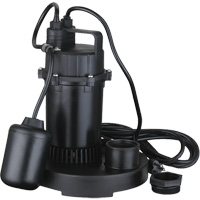 Pompe de puisard submersible thermoplastique, 2560 gal./h, 115 V, 4,6 A, 1/3 CV Les Fournitures Industrielles Méga