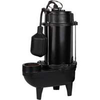 Pompe d'effluent en fonte, 4800 gal./h, 120 V, 7,8 A, 1/2 CV Les Fournitures Industrielles Méga